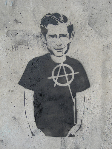 anarchy bush.jpg