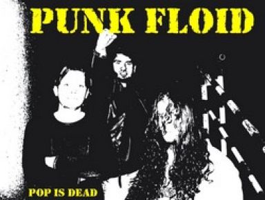 punkfloid.jpg